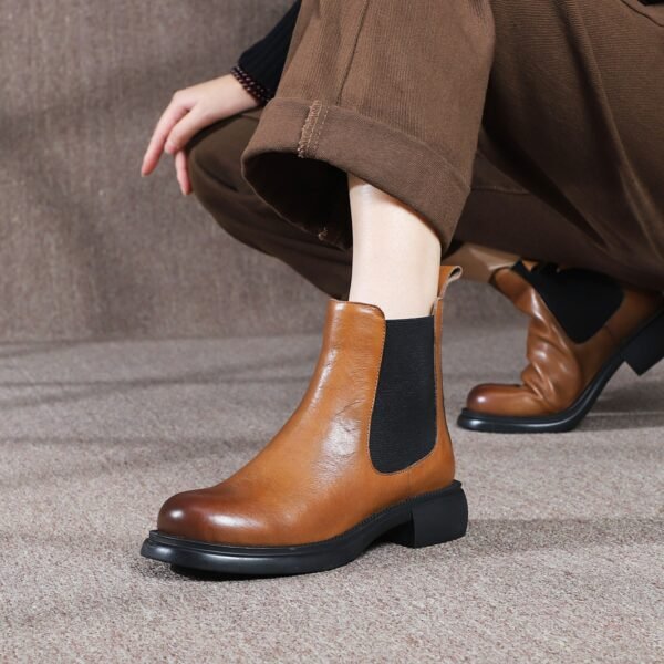 Pisa Ankle Boots brown